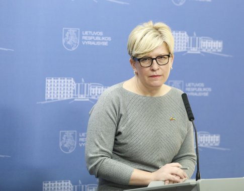 I. Šimonytė: V. Putinas nusipelnė sėdėti Hagos teismo suole, o ne savo bunkeryje I. Šimonytė: V. Putinas nusipelnė sėdėti Hagos teismo suole, o ne savo bunkeryje