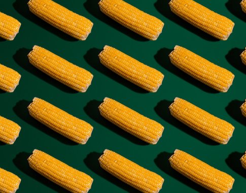 Populiarieji kukurūzai – ne tokie ir sveiki?