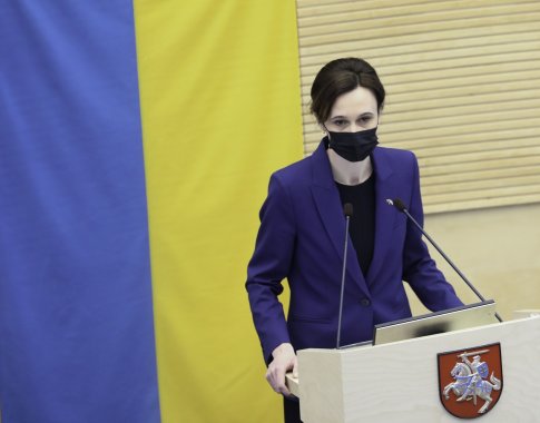 V. Čmilytė-Nielsen: antiinfliacinis planas yra geras ir sistemiškas