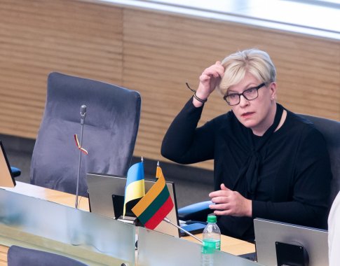 Premjerė opozicijai: arba dirbkite savo darbą, arba reikškite nepasitikėjimą visa Vyriausybe