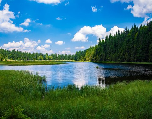 Priėjimas prie vandens telkinių: ne tik teisės, bet ir pareigos