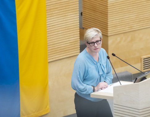 I. Šimonytė: geriausia minimali alga būtų tokia, dėl kurios susitartų darbuotojai ir darbdaviai I. Šimonytė: geriausia minimali alga būtų tokia, dėl kurios susitartų darbuotojai ir darbdaviai
