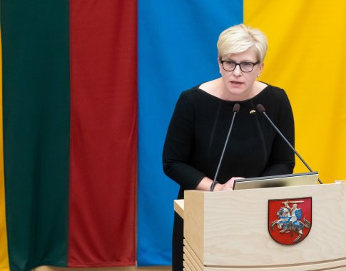 Premjerė atsakė prezidentui: nelabai etiška mokėti tik piršteliu parodyti į kitus