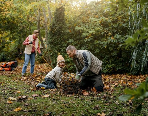 Veja žiemą turėtų pasitikti tinkamai nupjauta ir patręšta