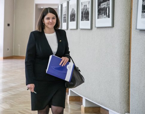 G. Skaistė: kitų metų biudžete nebus jokių naujų mokesčių G. Skaistė: kitų metų biudžete nebus jokių naujų mokesčių
