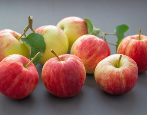Patarimai, kaip saugoti rudens derlių Patarimai, kaip saugoti rudens derlių