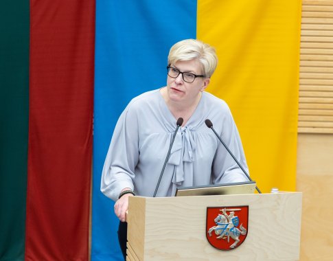 I. Šimonytė: jei kas nors padarys klaidą, kaip su Minsko susitarimais 2014 m., tai netaps karo pabaiga