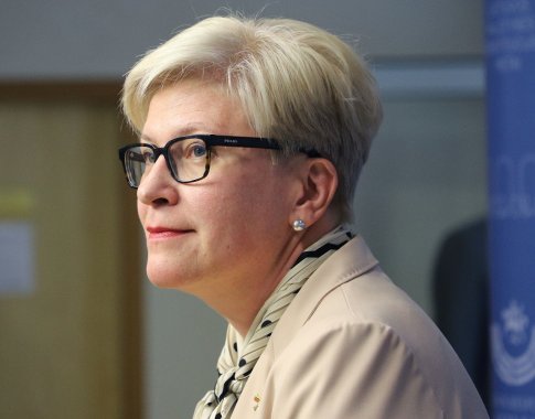 Opozicija nesutaria, ar inicijuos nepasitikėjimo Vyriausybe procedūrą: vieni pasirengę, kiti ragina neskubėti Opozicija nesutaria, ar inicijuos nepasitikėjimo Vyriausybe procedūrą: vieni pasirengę, kiti ragina neskubėti