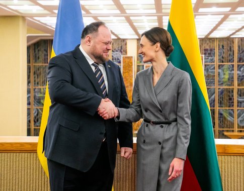 V. Čmilytė-Nielsen: Ukrainai artėjant narystės ES link, trišalio bendradarbiavimo svarba augs