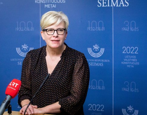 I. Šimonytė viliasi, kad mokesčių reforma Seimą pasieks pavasarį: diskusijų bus daug