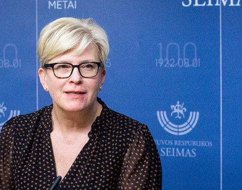 I. Šimonytė: Seime yra daug formatų, kurie padėtų atsakyti į knygoje „Pranešėjas ir prezidentas“ keliamus klausimus