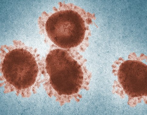 Virusai spendžia spąstus – neįkliūkime Virusai spendžia spąstus – neįkliūkime