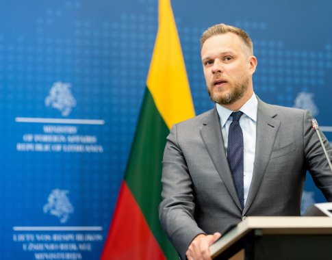 G. Landsbergis: nepaisant dalies frakcijų nepritarimo, registruosime nutarimą dėl pirmalaikių Seimo rinkimų G. Landsbergis: nepaisant dalies frakcijų nepritarimo, registruosime nutarimą dėl pirmalaikių Seimo rinkimų