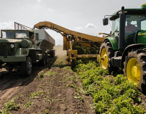 Dėl ilgiausių sausrų ir žemų supirkimo kainų Lietuvos grūdų augintojų padėtis – viena nepalankiausių Europoje