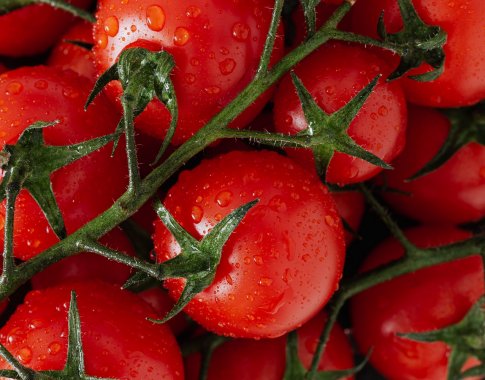 Ar produktas tikrai ekologiškas? Nauja direktyva apsaugos vartotojus nuo klaidingos informacijos