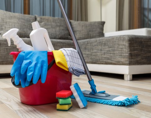 Kaip namų ruošą paversti smagia pramoga?