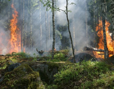 Lietuvių pamėgtą Tenerifę siaubia miškų gaisrai: apėmė milžinišką plotą