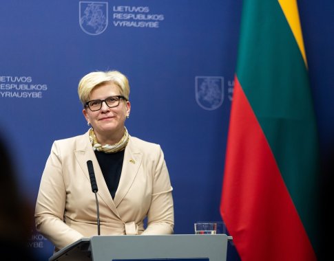 Premjerė: mokesčių reforma nėra susieta su kitų metų biudžetu – apie ją diskutuoti Seimas gali kiek reikės