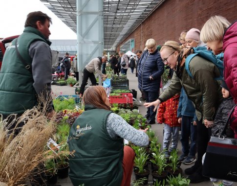 Į Vilnių sugrįžta Didžioji sodinukų mugė: lankytojams siūlys ir tradicinių, ir egzotinių augalų