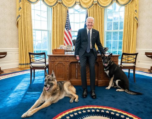 Darbuotojus kandžiojęs J. Bideno šuo iškeldintas iš Baltųjų rūmų Darbuotojus kandžiojęs J. Bideno šuo iškeldintas iš Baltųjų rūmų