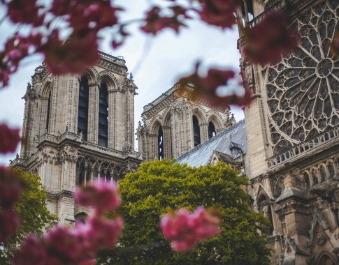 Paryžiaus Dievo Motinos katedroje bus įrengta unikali priešgaisrinės apsaugos sistema