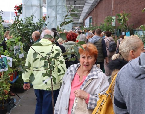Klaipėdoje ir Vilniuje rengiamos Didžiosios sodinukų mugės naujiena – grybų auginimo ruošiniai