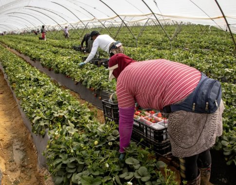 Kas trečias darbuotojas svarstytų darbo užsienyje galimybę: kur jie trauktų ir ką norėtų dirbti?