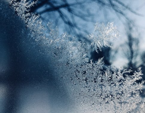 Šalčio galia: žema temperatūra gali pakeisti cheminių elementų būvį ir sužaloti arba pagydyti gyvus audinius