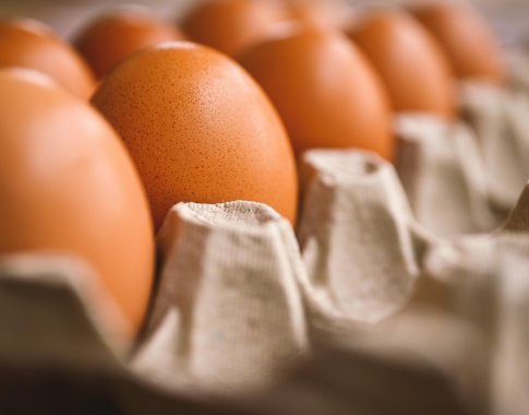 Lietuvoje greičiausiai augs kiaušinių kainos Lietuvoje greičiausiai augs kiaušinių kainos