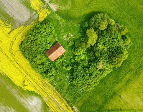 Būsto paieškos regionuose: žmonės ieško ramybės, saugumo ir gamtos Būsto paieškos regionuose: žmonės ieško ramybės, saugumo ir gamtos