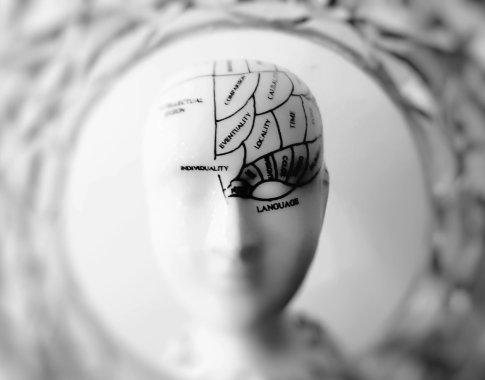 Neuromokslo atradimai: kaip veikia smegenys, kai ilsisi Neuromokslo atradimai: kaip veikia smegenys, kai ilsisi