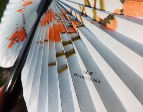 Lietuvoje – 36 proc. importo iš Kinijos šuolis