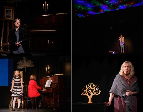 Aktorinio meno salos