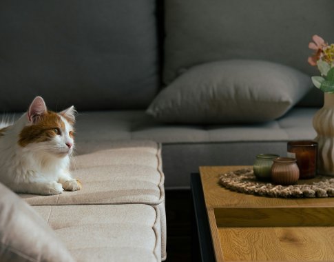 „Draugiška“ etiketė nebūtinai reiškia, kad saugu: pavojingos medžiagos mūsų namuose