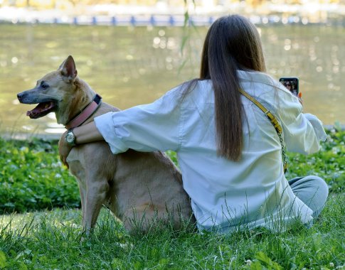 Ar mes valdome savo išmaniuosius telefonus, ar jie – mus? Ekranų poveikį prilygina azartiniams lošimams