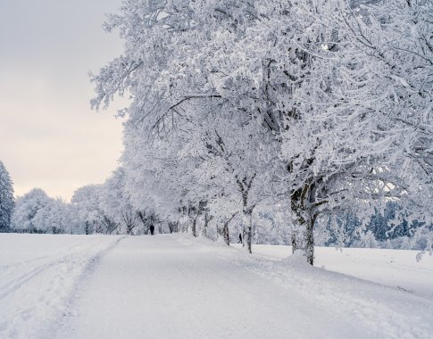 Šeduvoje – šalčiausia metų naktis