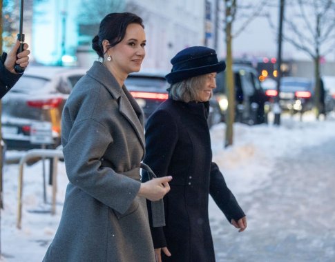 Ruginienė apie kratas pas Skvernelį: tai keičia demokratų galimybes grįžti į valdančiąją koaliciją