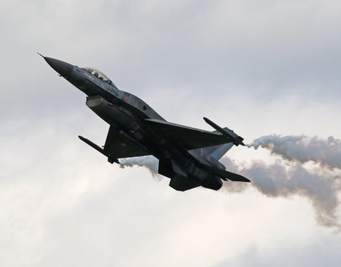 JAV palankiai vertina didėjantį Europos vaidmenį dalijantis NATO gynybos našta