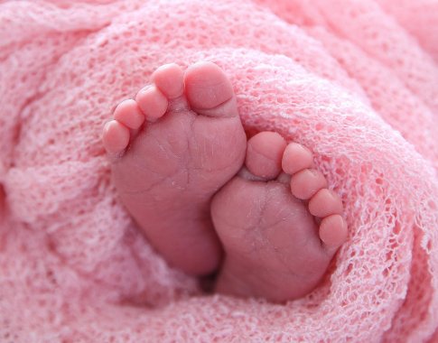 Žygimantas Mauricas. Gimstamumo krizei spręsti reikia drastiškų priemonių