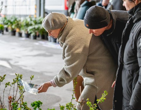 Balandį – Didžioji sodinukų mugė