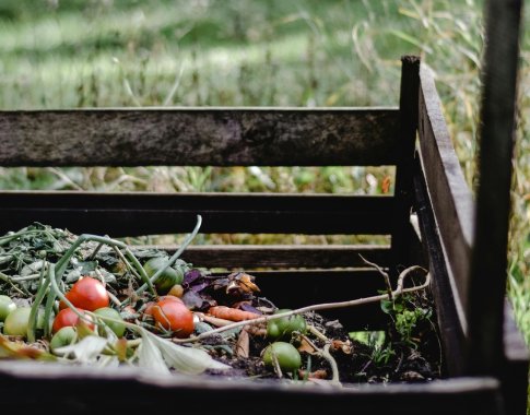 Specialisto patarimai: kaip teisingai kompostuoti žaliąsias atliekas?