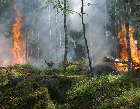 Daugelyje Lietuvos vietų – didelis miškų gaisrų pavojus: ką reikia žinoti