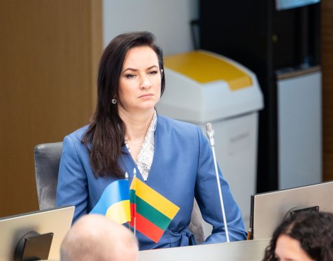 Ruginienė: Europos interesas yra kuo greičiau atlaisvinti Hormuzo sąsiaurį