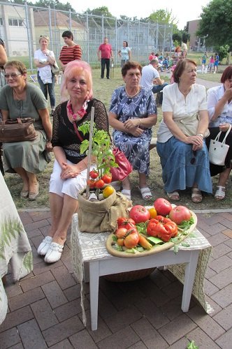 Pomidorų augintojų šventė Alytuje