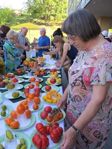 Pomidorų šventė Dzūkijos sostinėje