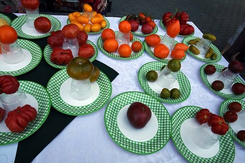 Pomidorų šventė Dzūkijos sostinėje