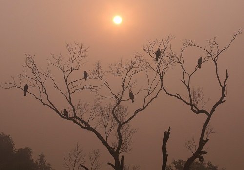 Ramybės laikas rytą truks viena valanda ilgiau