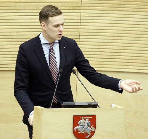 G. Landsbergis prašo priešlaikinių rinkimų