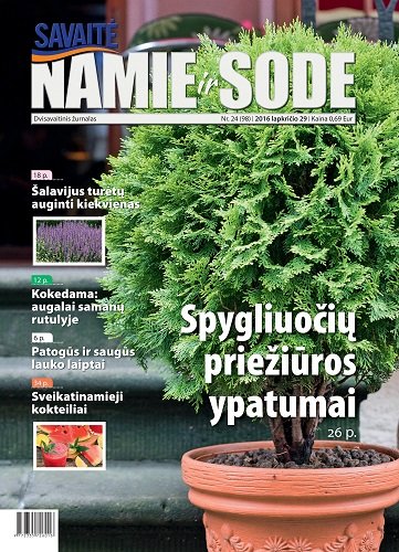 Kokedama – samaninis stebuklas jūsų namuose