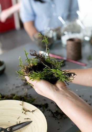 Kokedama – samaninis stebuklas jūsų namuose